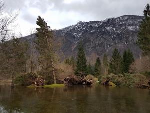 Ukanc (avtor fotografije Jure Sodja)